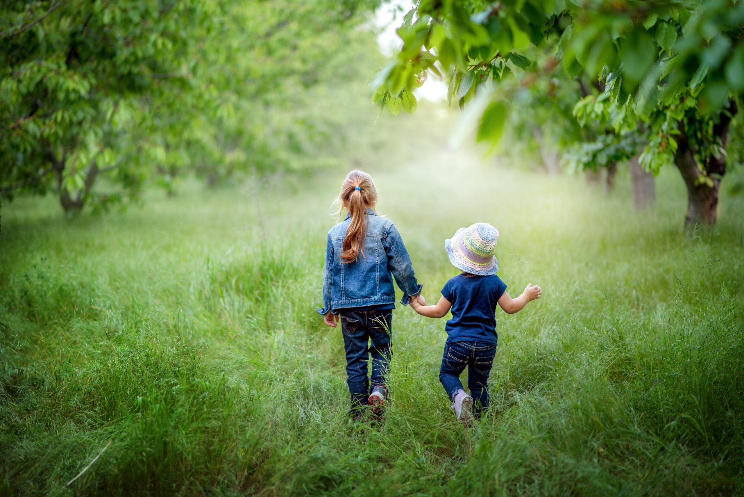 Wet Kinderopvang – Veiligheid & Kwaliteit