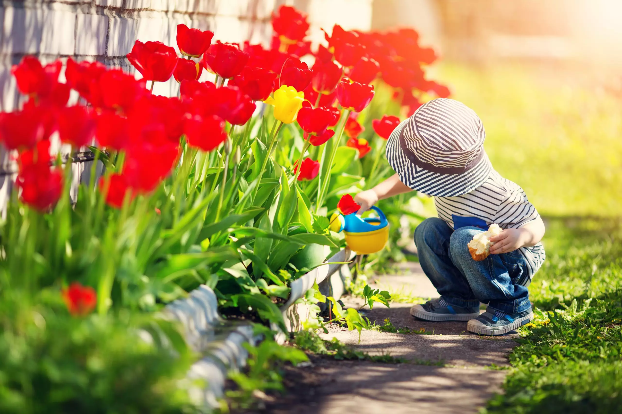 Twee kinderen lopen hand in hand door een groen grasveld